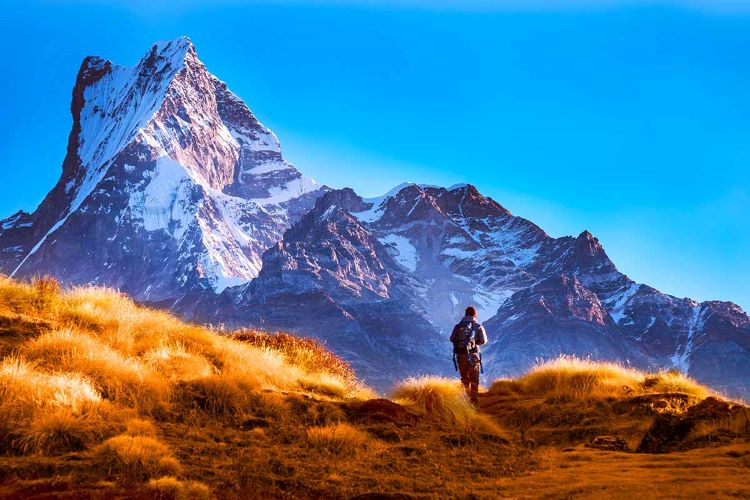 Mardi Himal Trek 3 Days Best 3 Days Hiking in Nepal