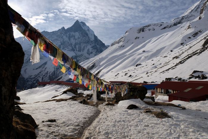 5 days ABC base Camp Tour