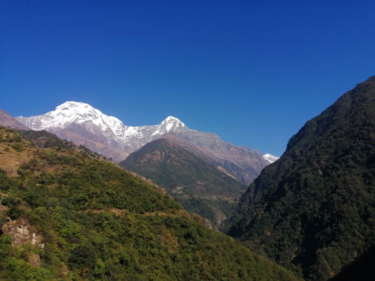 7 days annapurna base camp trekking