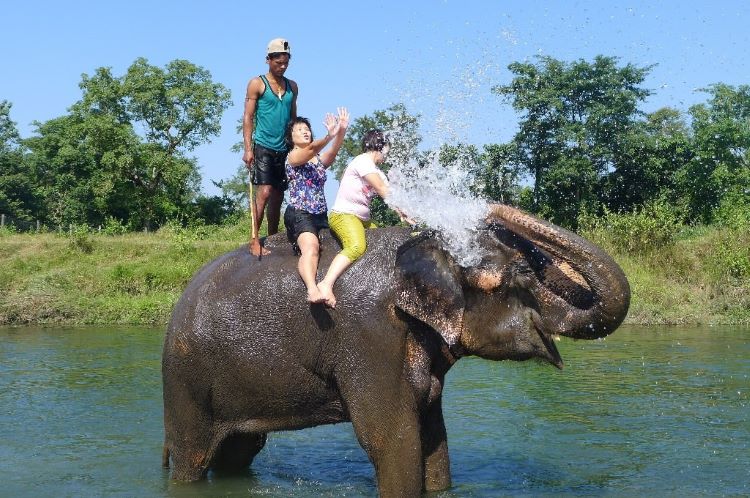 9 days tour Nepal -chitwan elephant ride