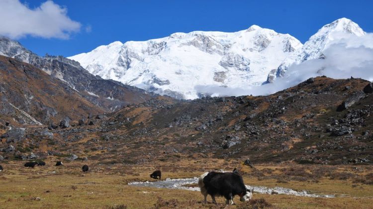 kanchenjunga trekking