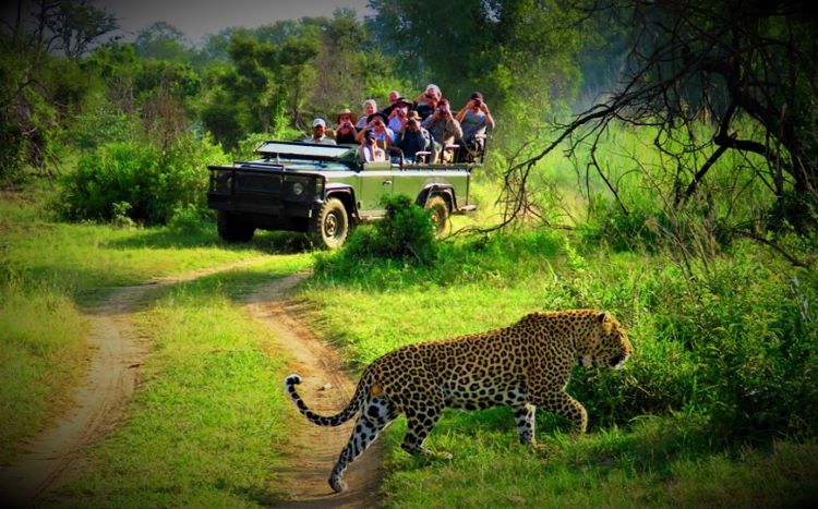 chitwan jungle safari-9 days Nepal tour